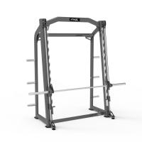 Машина Cмита Fitex Pro Sway FTX-61F33